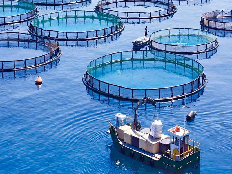 Aquaculture Ropes